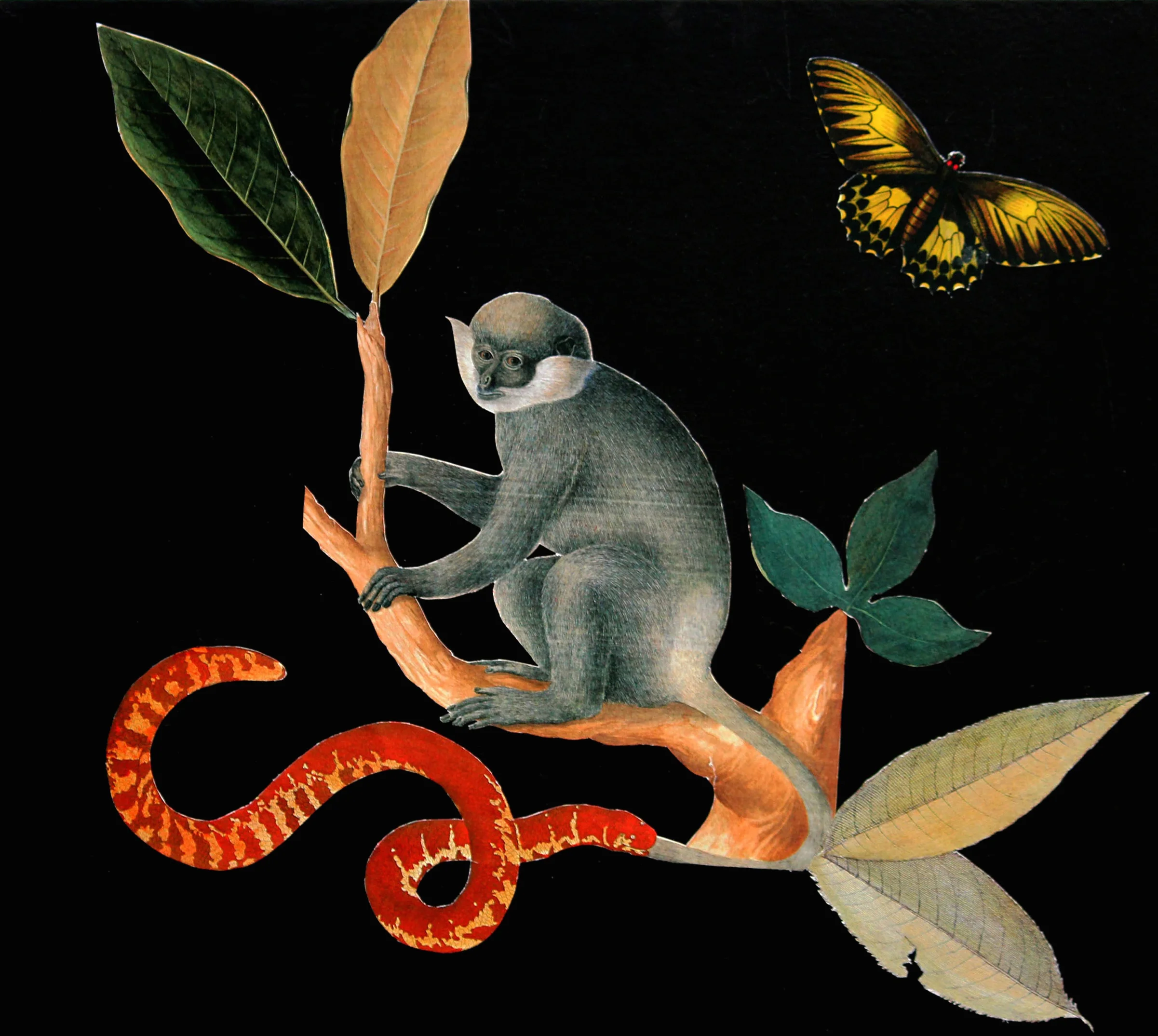 Snakemonkey