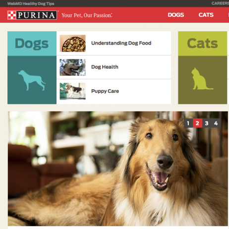 Purina.png