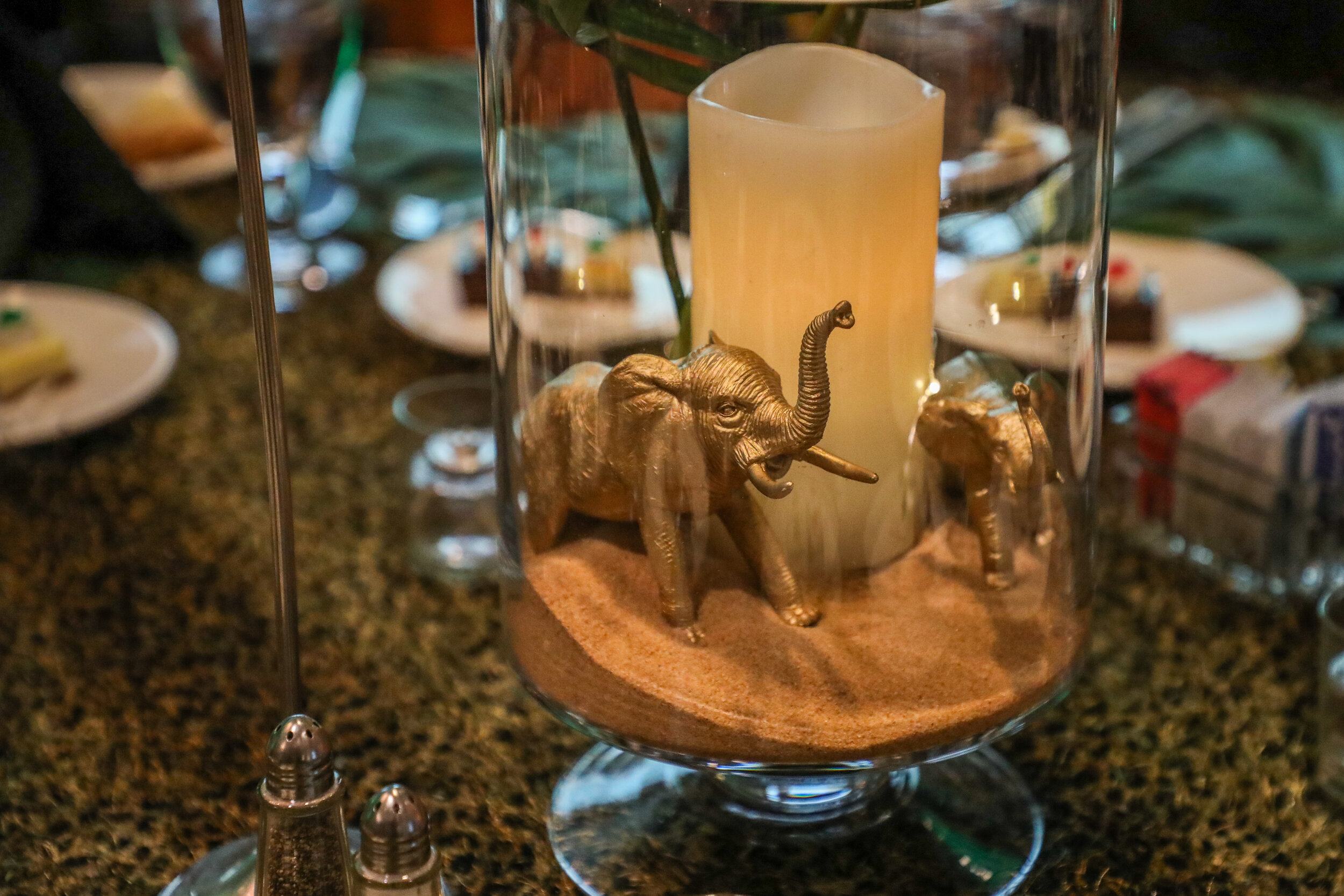 Kolter Elementary Gala_2020_Photographer Melissa Taylor-50.jpg