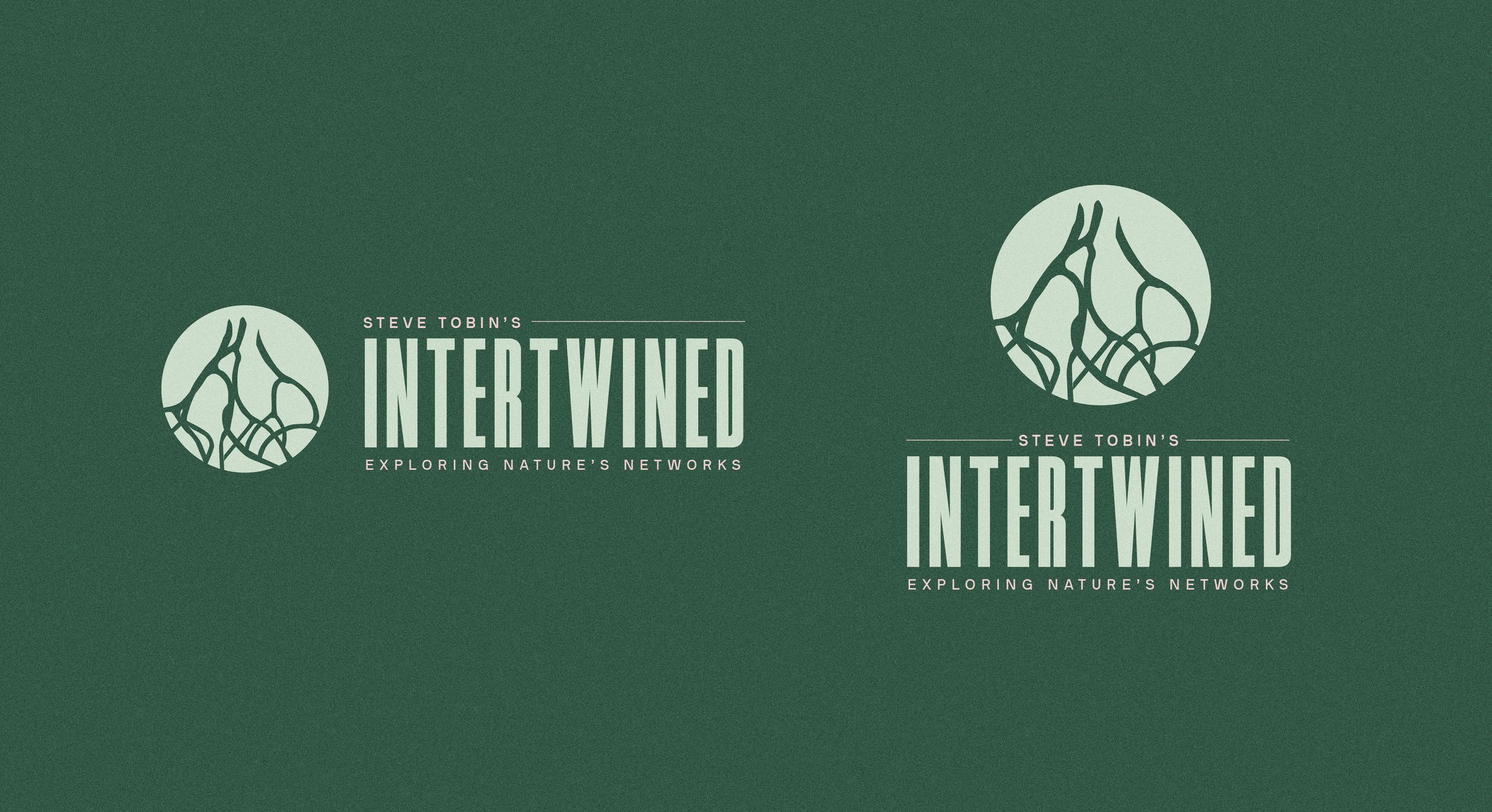 HBG_Intertwined_Color Combinations-02.jpg