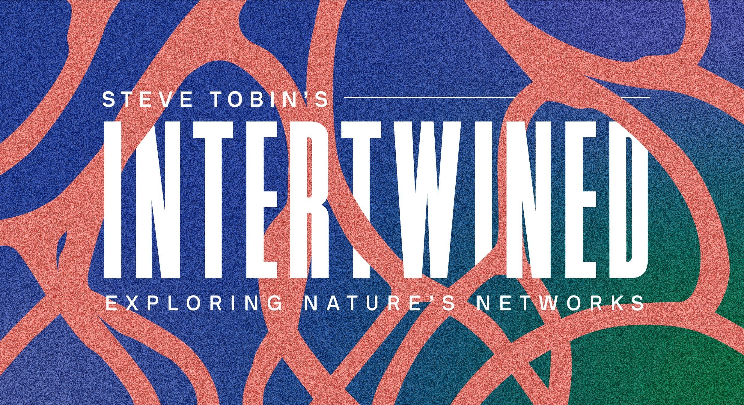 Steve Tobin’s Intertwined: Exploring Nature’s Networks at Houston Botanic Garden features monumental sculptures by the American artist, who is world-renowned for his works in glass, bronze, ceramic, and steel. I was tasked with creating a visual bra
