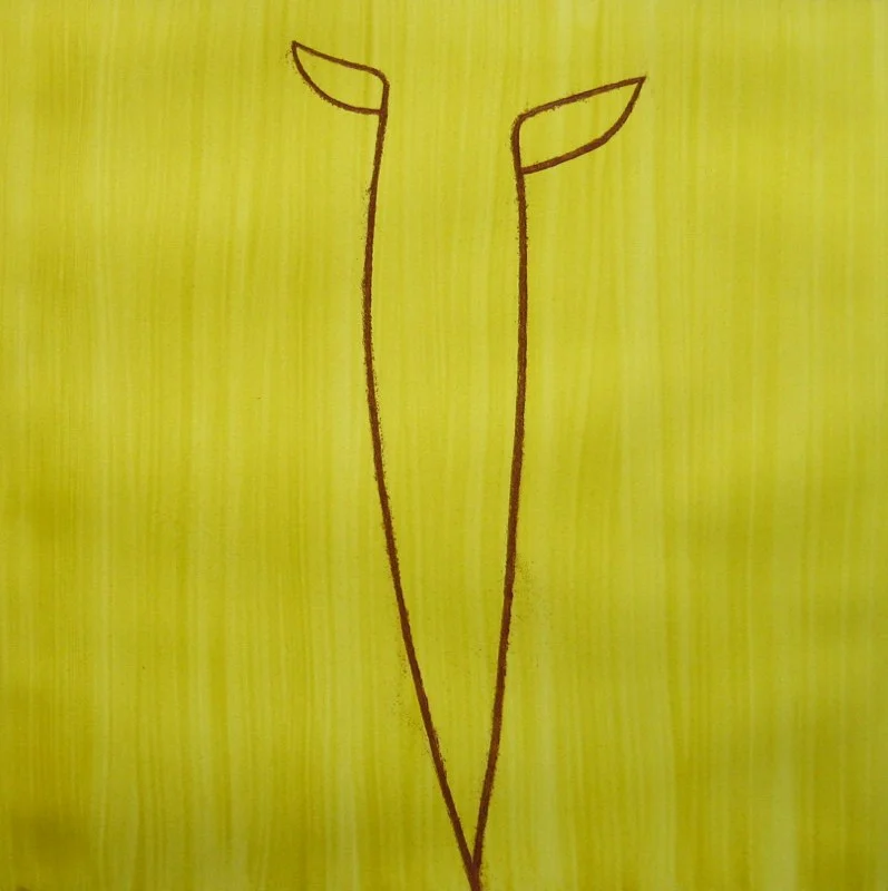 Anima 28