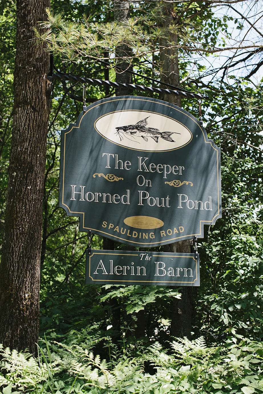 Kara Tyce S Wedding June 18 2016 Alerin Barn St Johnsbury