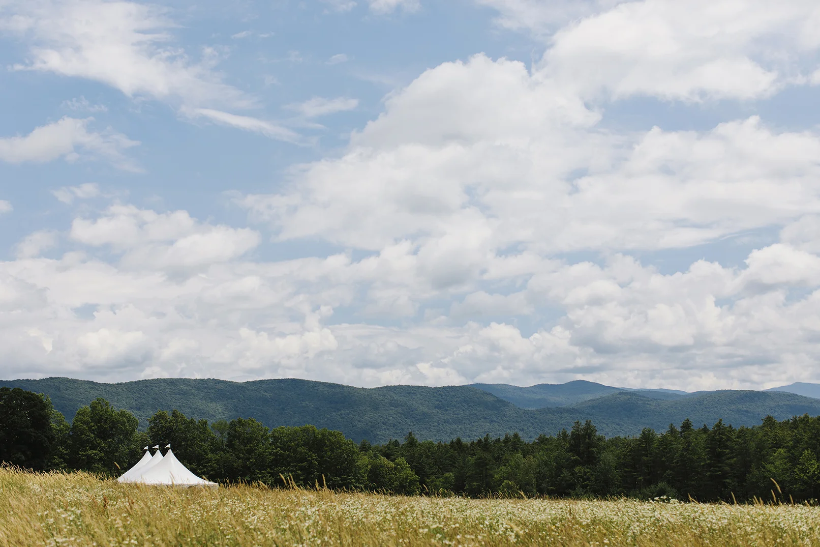 01colettekuligphotography.jpg