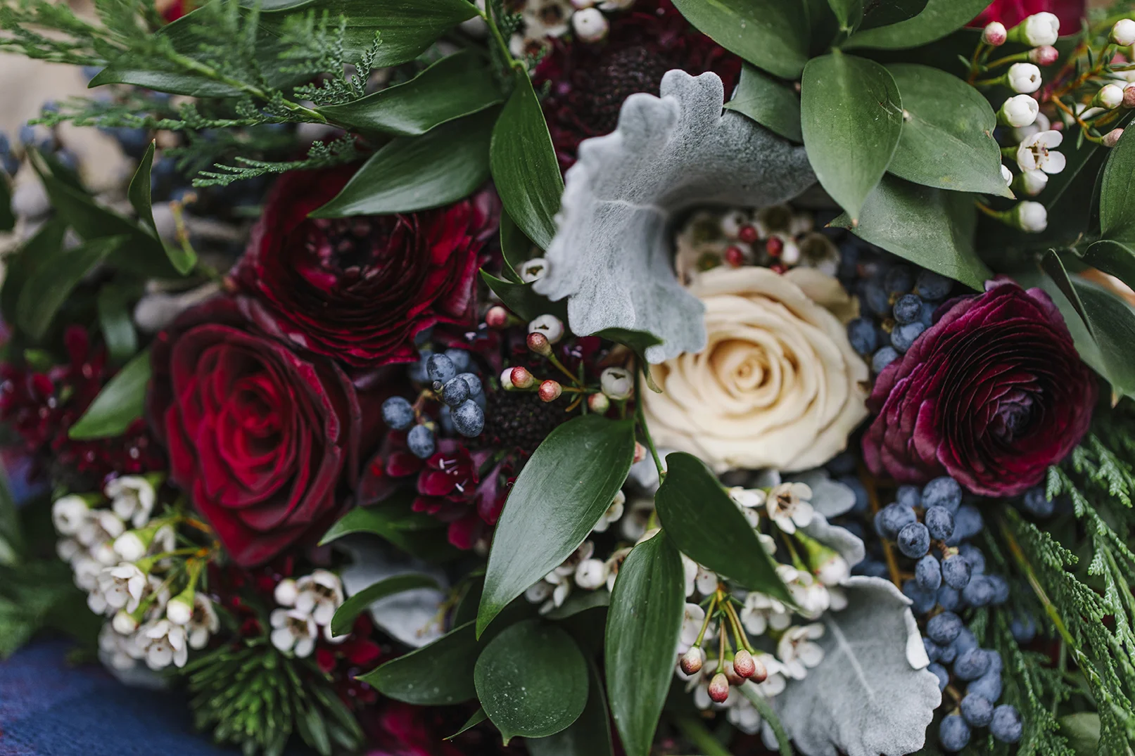 colettekuligphotography22.jpg