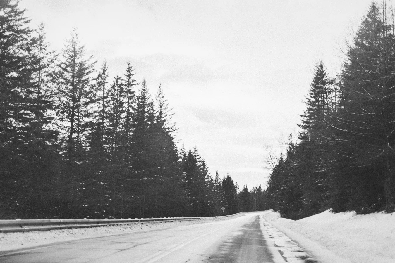 01_93A5301colettekuligphotography.jpg
