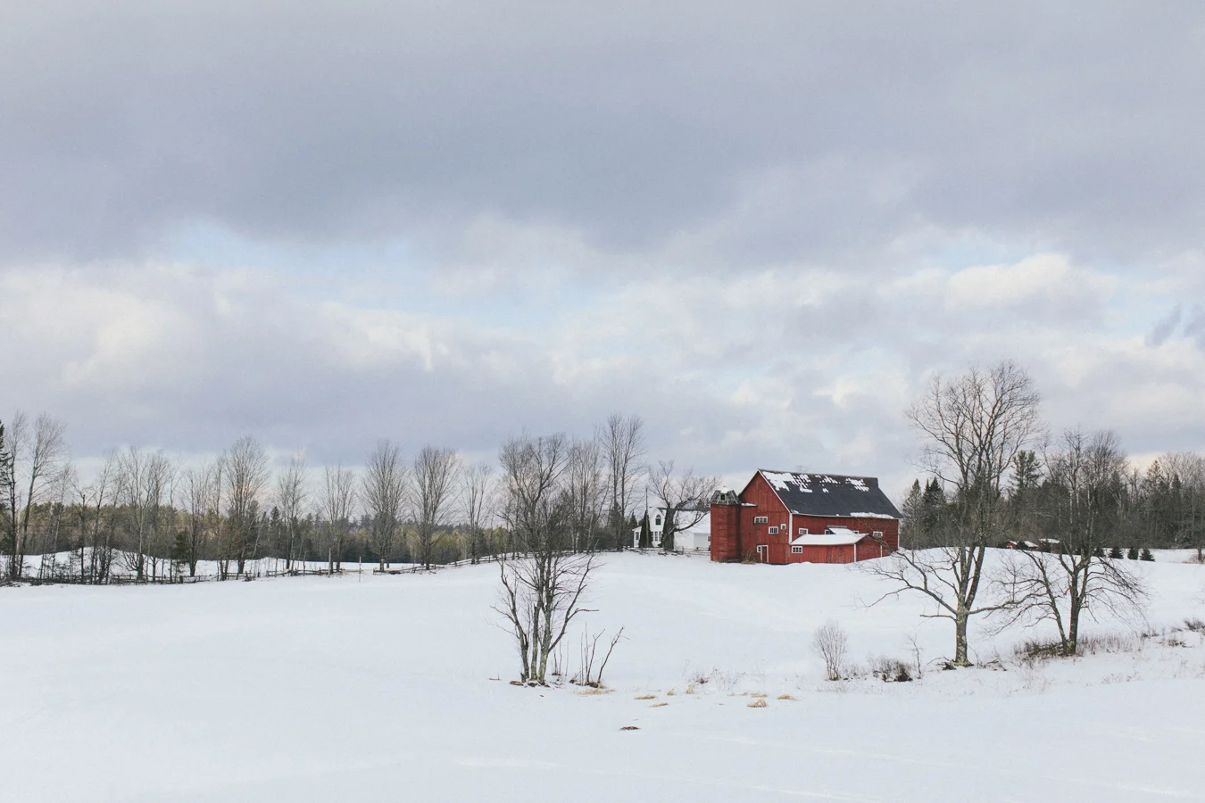 13_93A5131colettekuligphotography.jpg