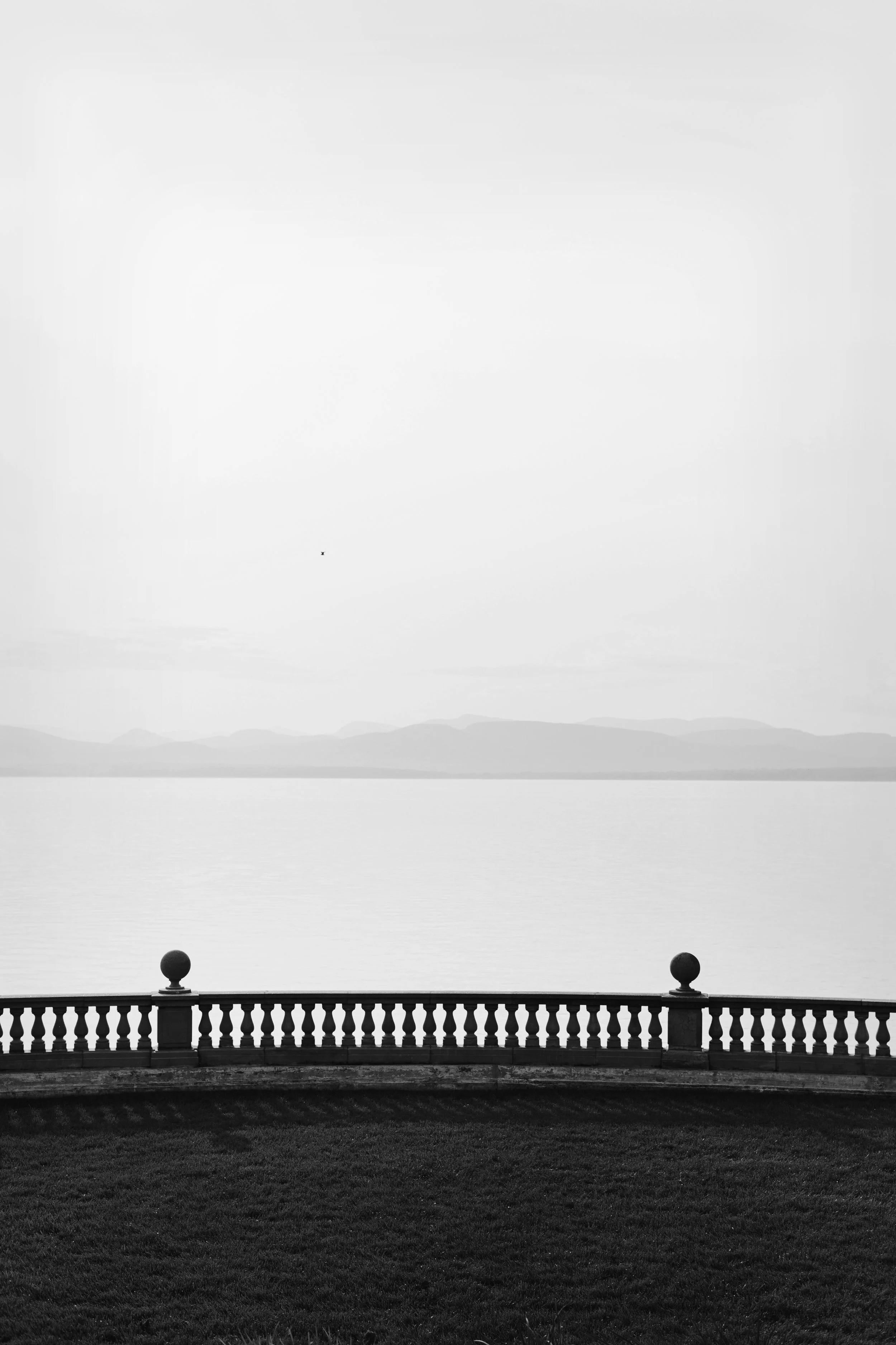 _93A1663.jpg