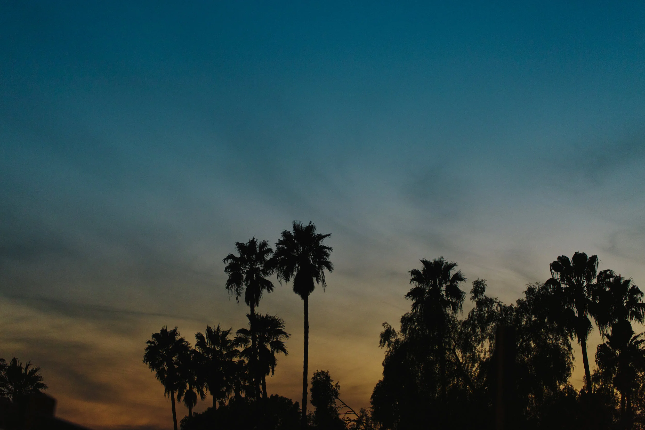 12colettekuligphotography.jpg