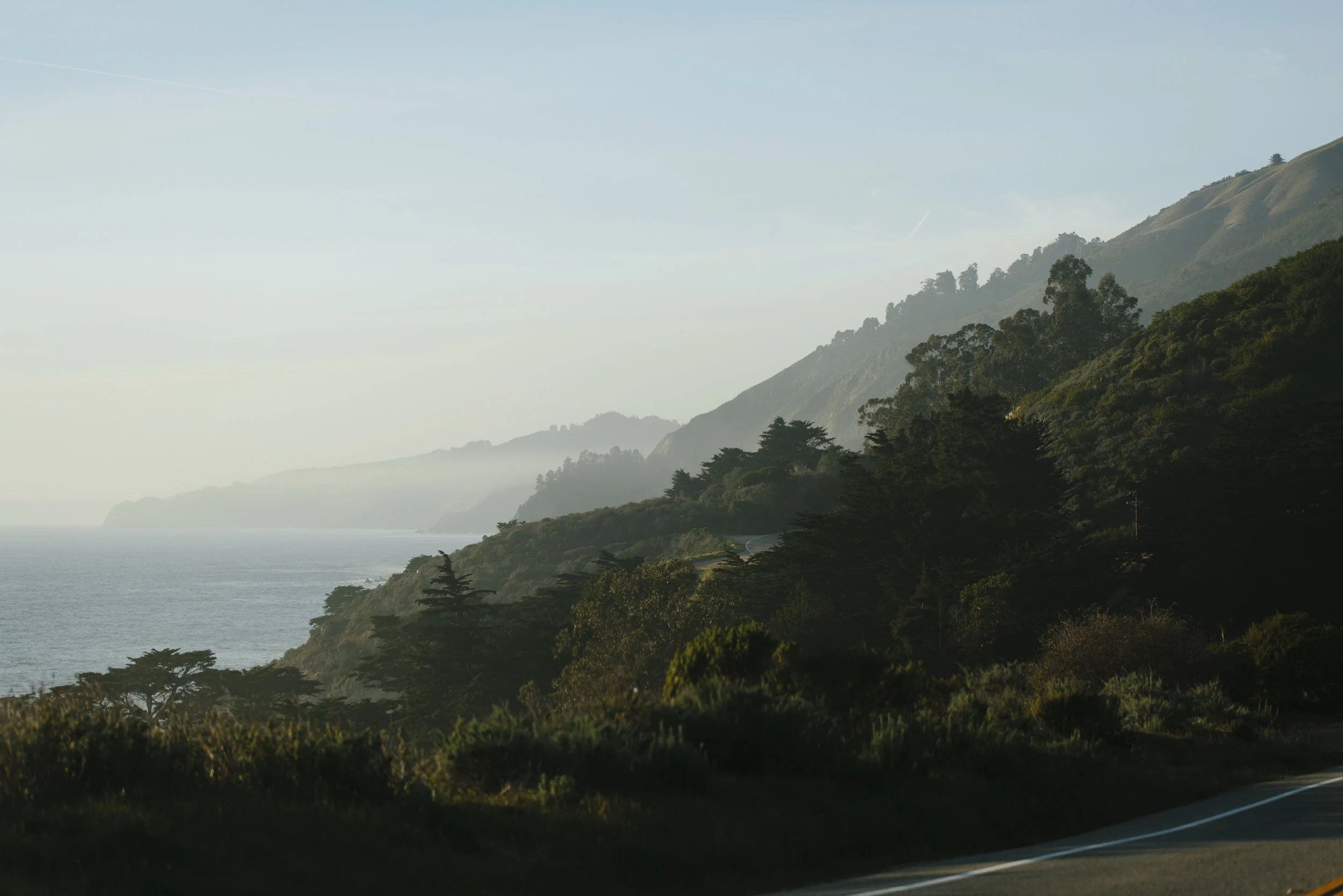 36colettekuligphotography.jpg