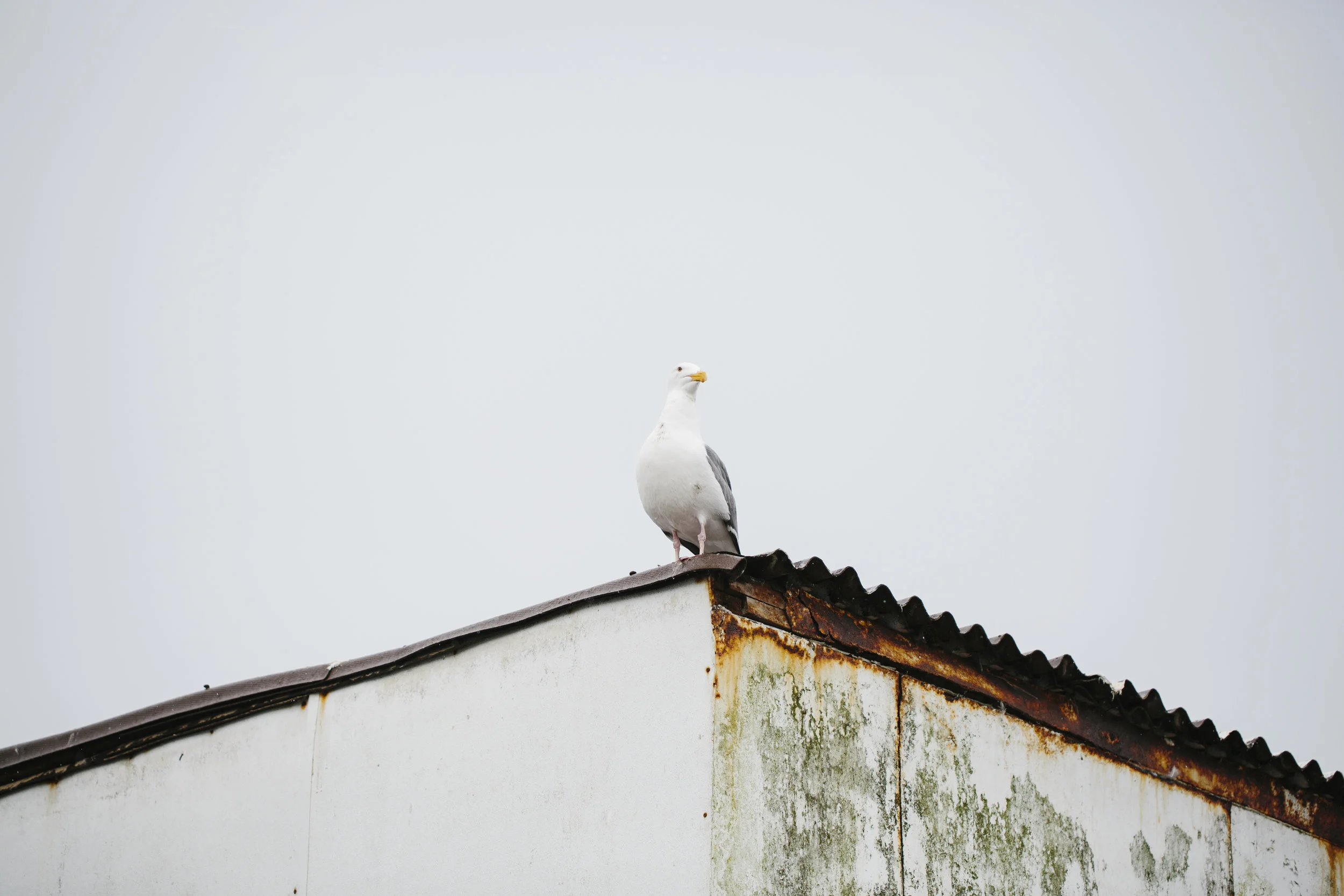 47colettekuligphotography.jpg