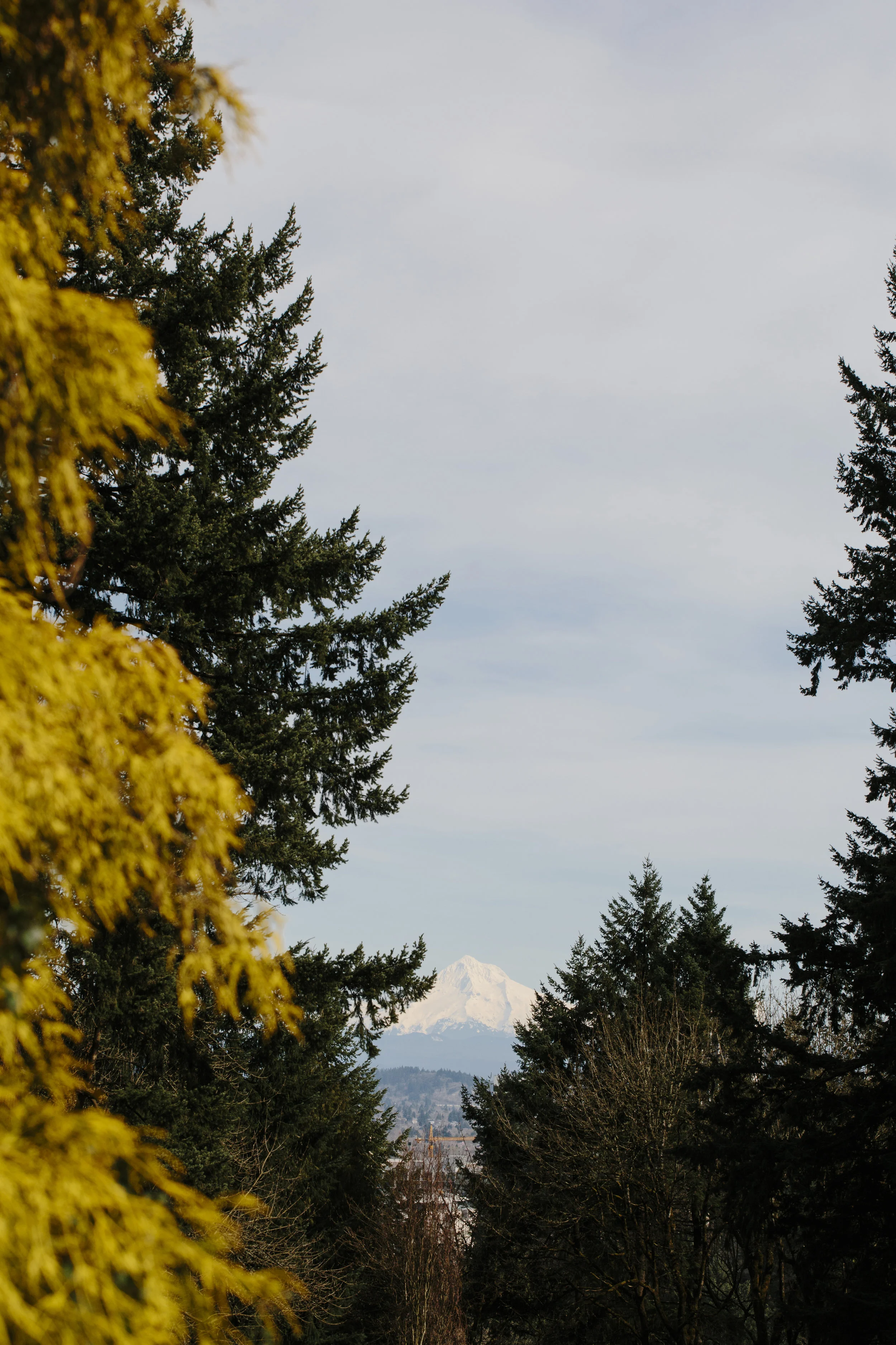 52colettekuligphotography.jpg