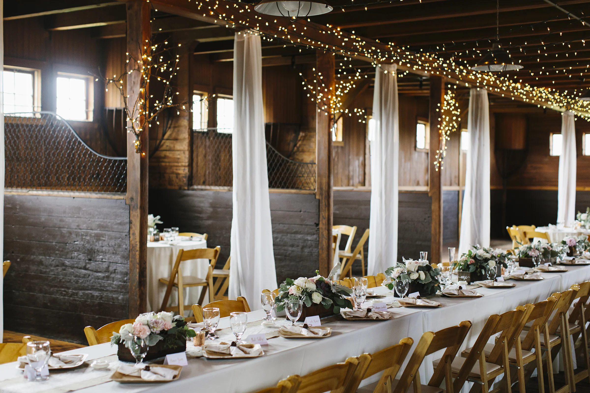 01__colettekuligphotography.jpg