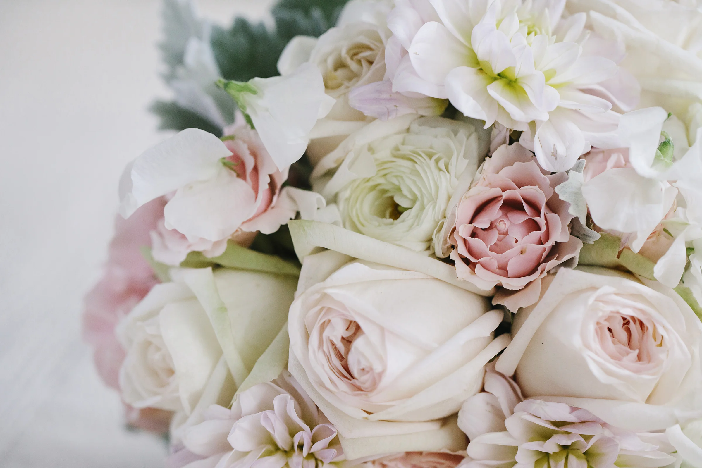 10__colettekuligphotography.jpg