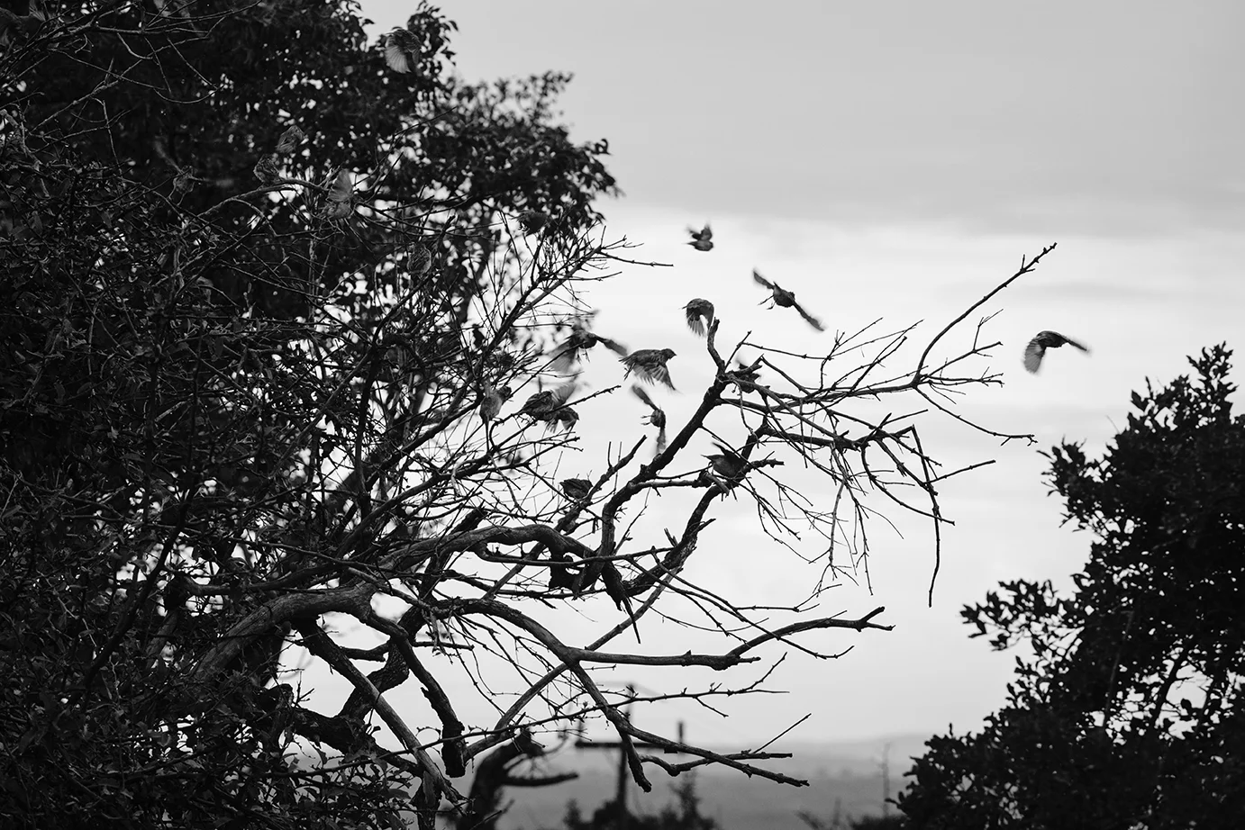 54colettekuligphotography.jpg