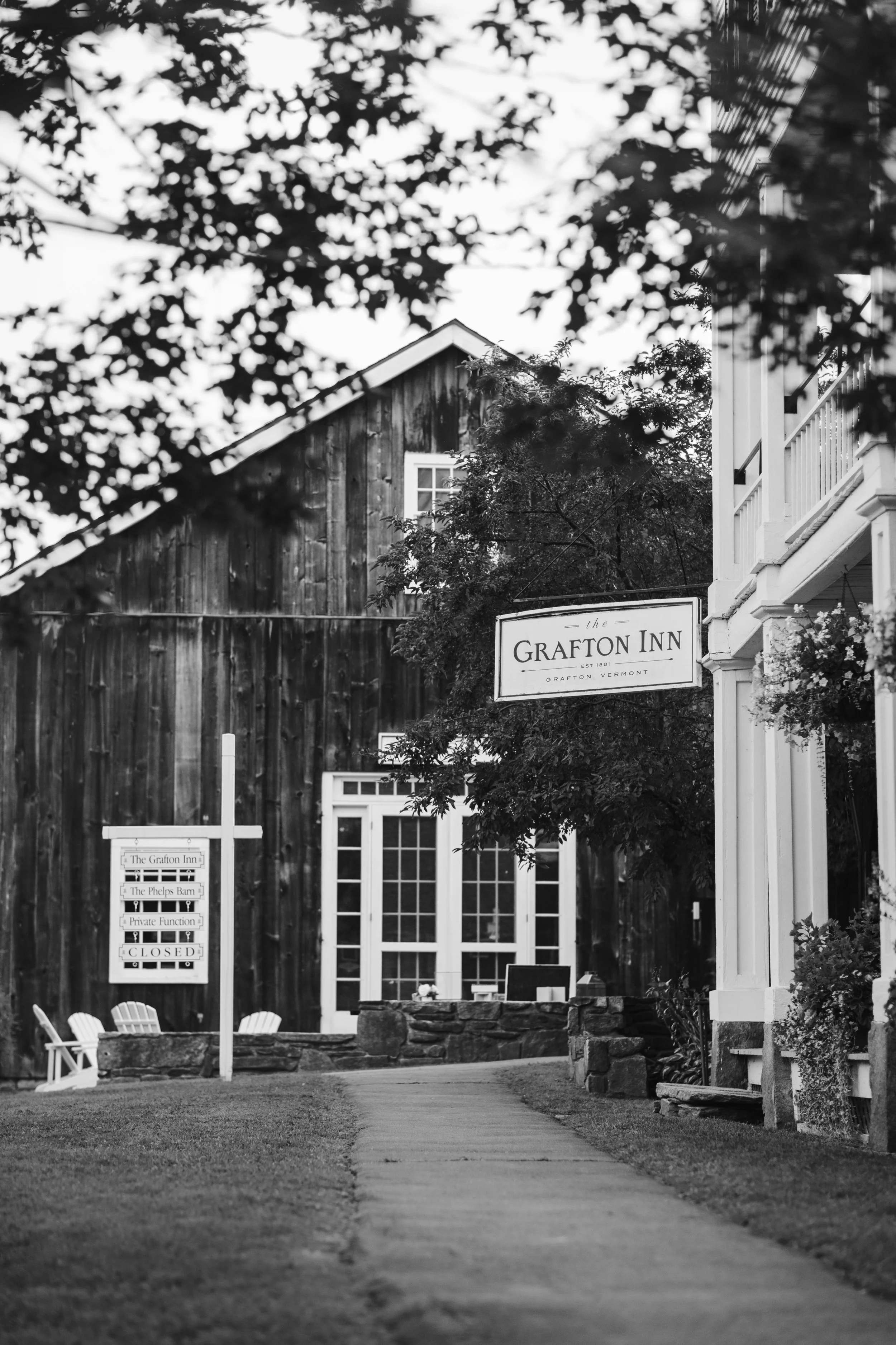 _05A6826bw300.jpg