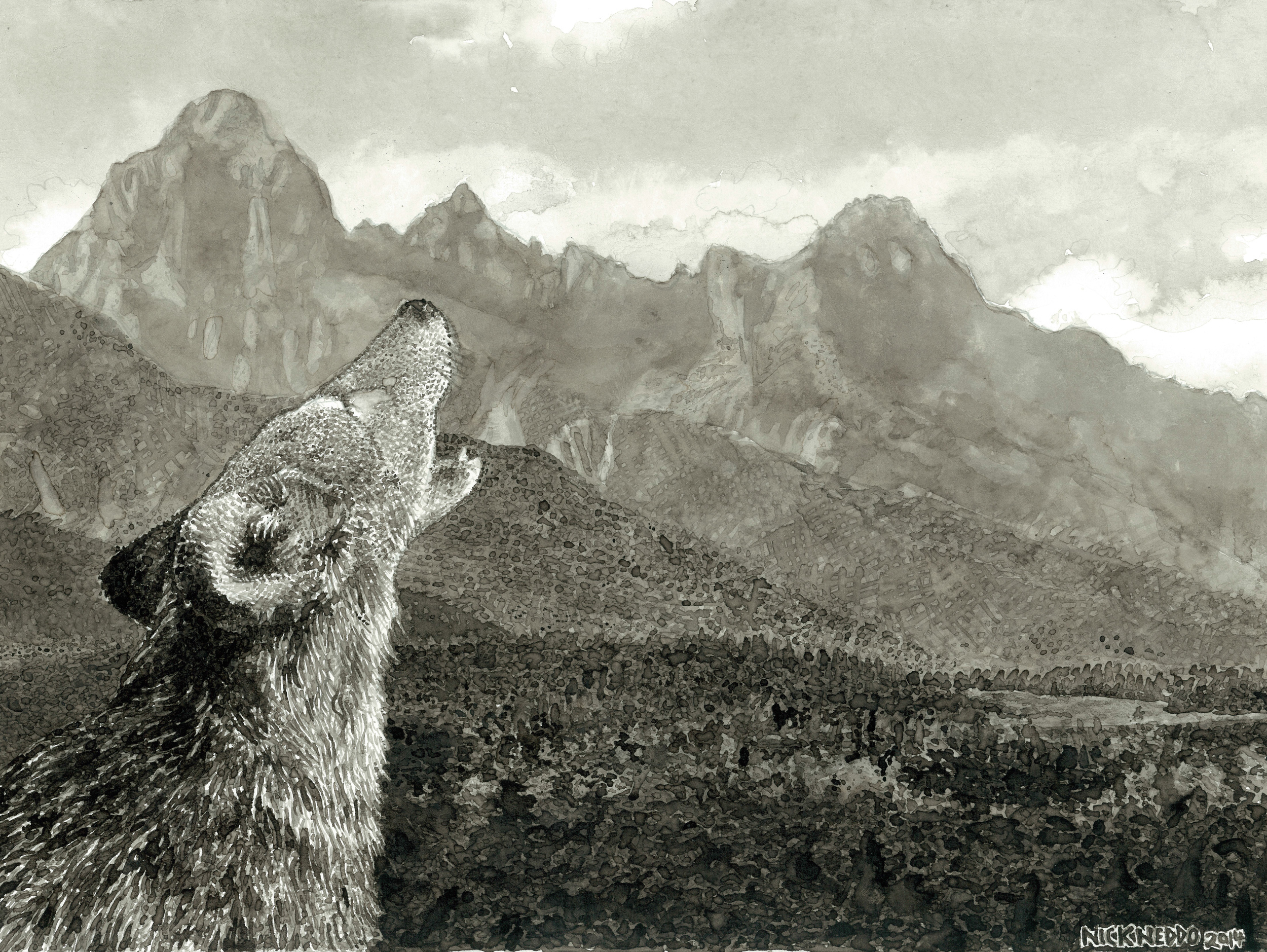 Grand Teton Coyote Song