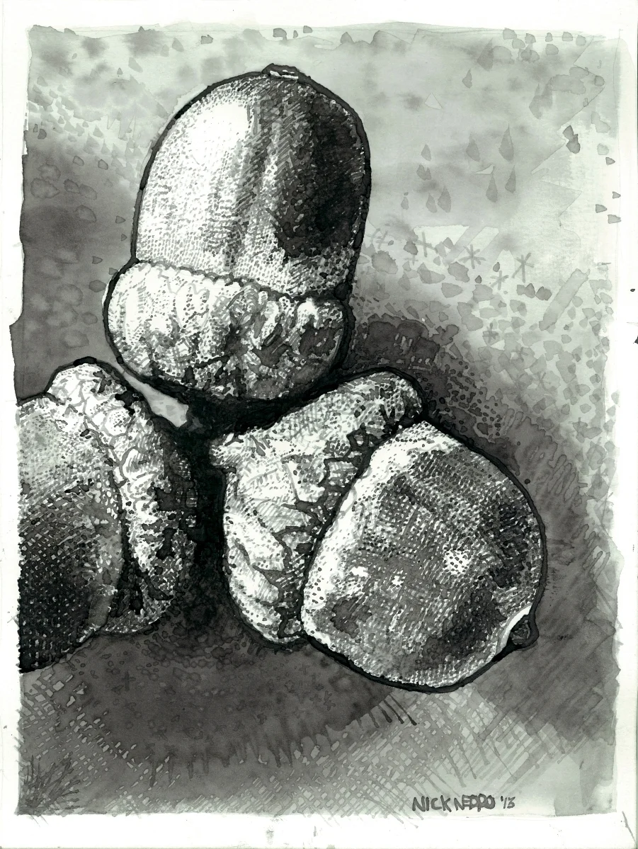 Acorn Trio