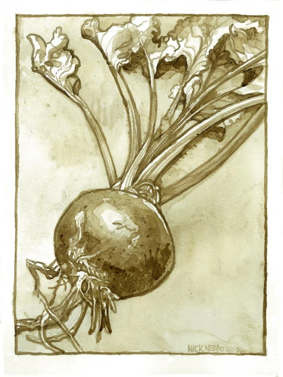 Beet Study