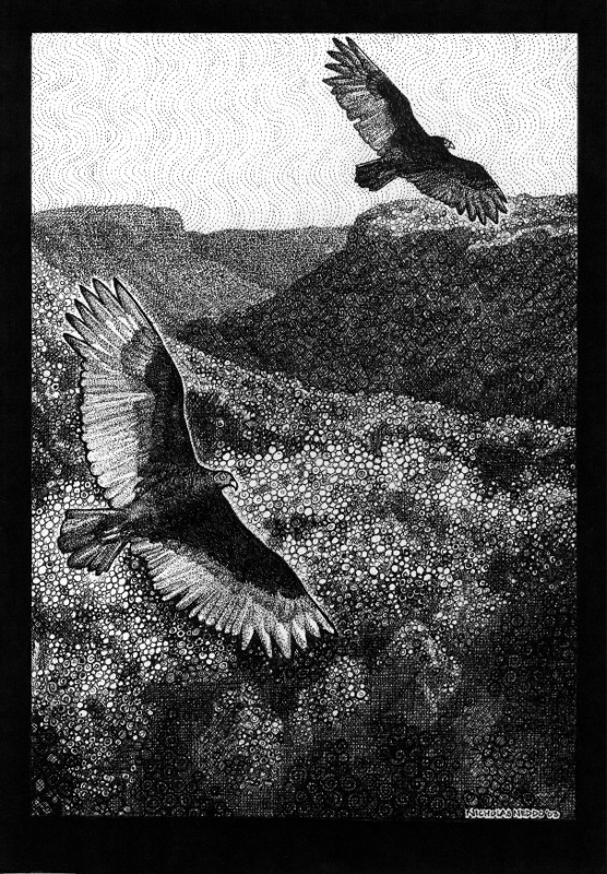 Turkey Vultures at the Veil of the Three Falls