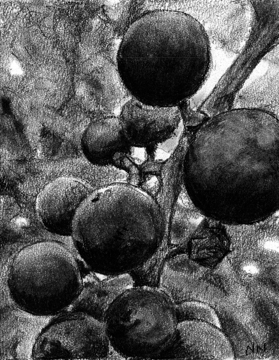 Wild Grapes