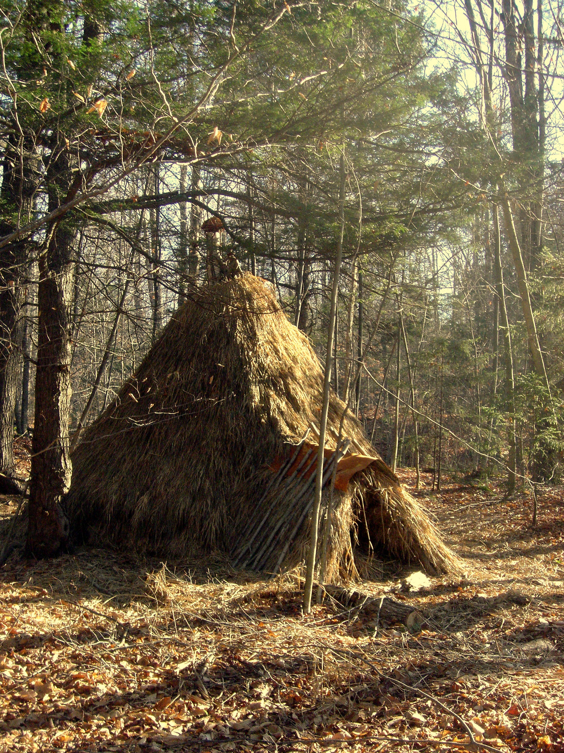 conical grass thatched lodge.JPG