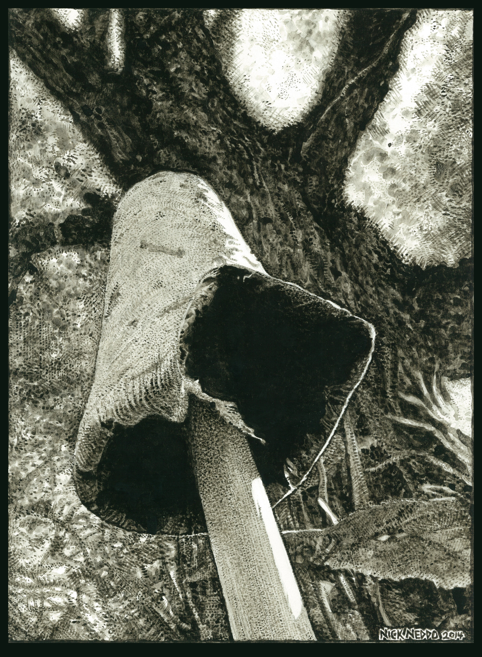 Inky Cap and Sugar Maple