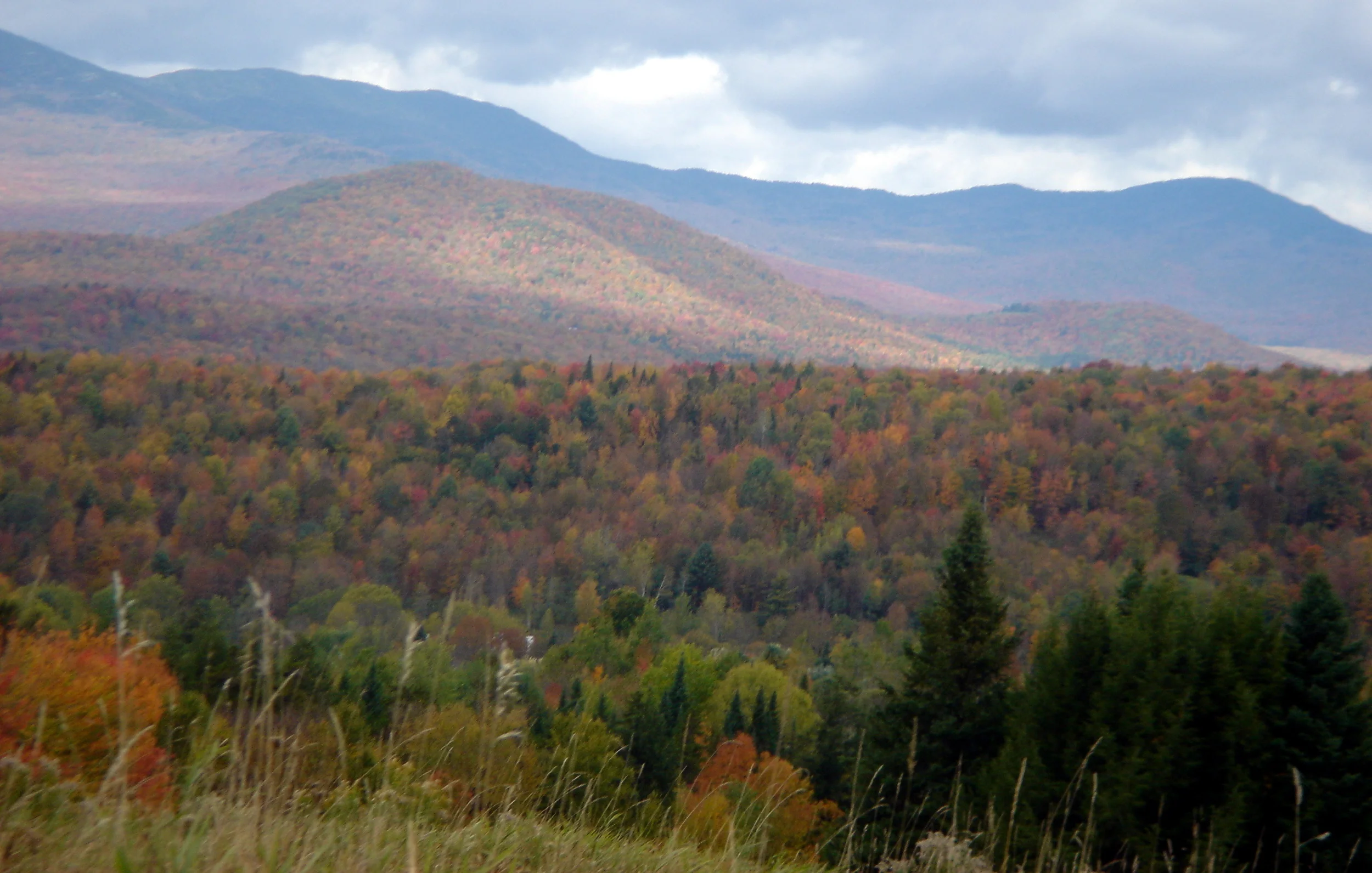 The Living Landscape
