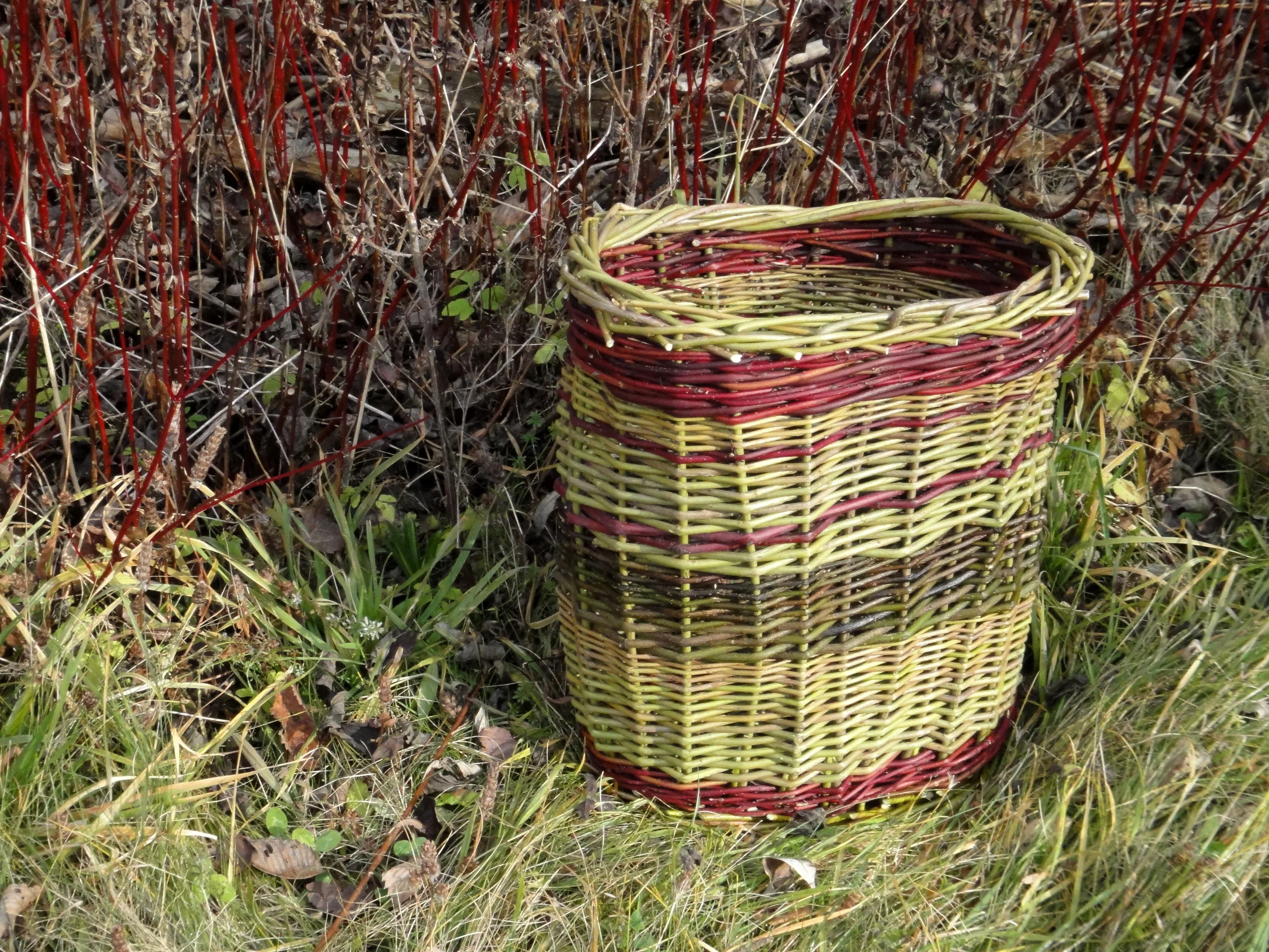 Willow and Red Osier basket, Nick Neddo