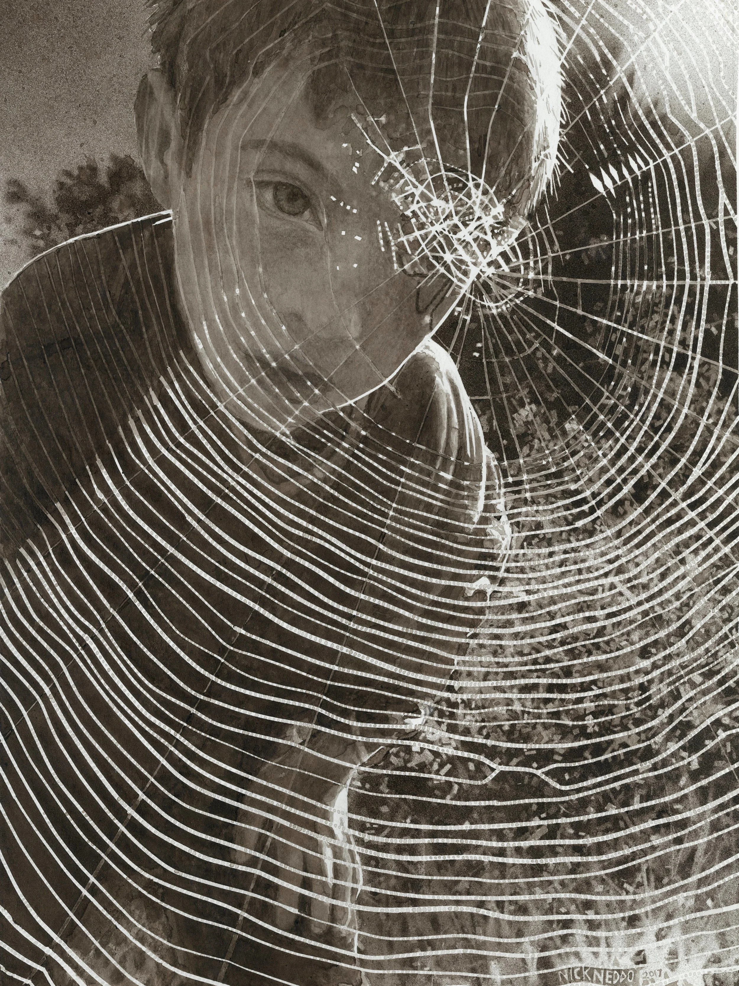 Orb Weaver