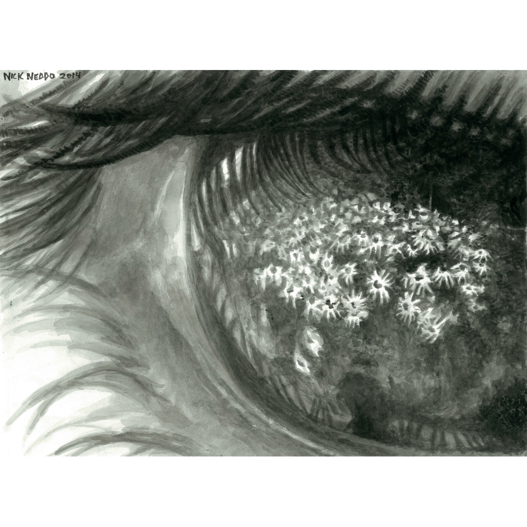 In The Eye of the Beholder, Nick Neddo Wild Arts Workshop, Gallery
