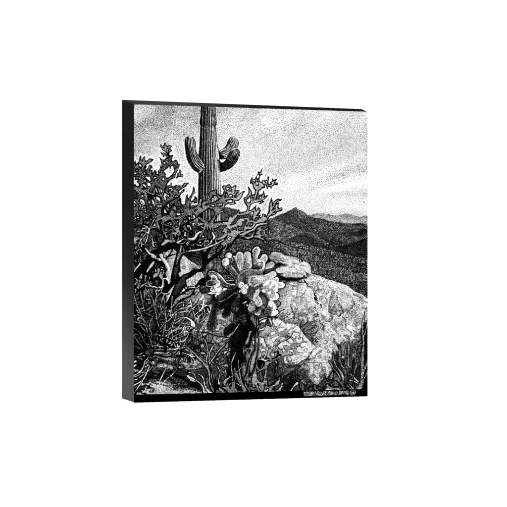 プリント絵　SANDDO NARDINI Sonoran Desert, Nick Neddo Wild Arts Workshop, Gallery