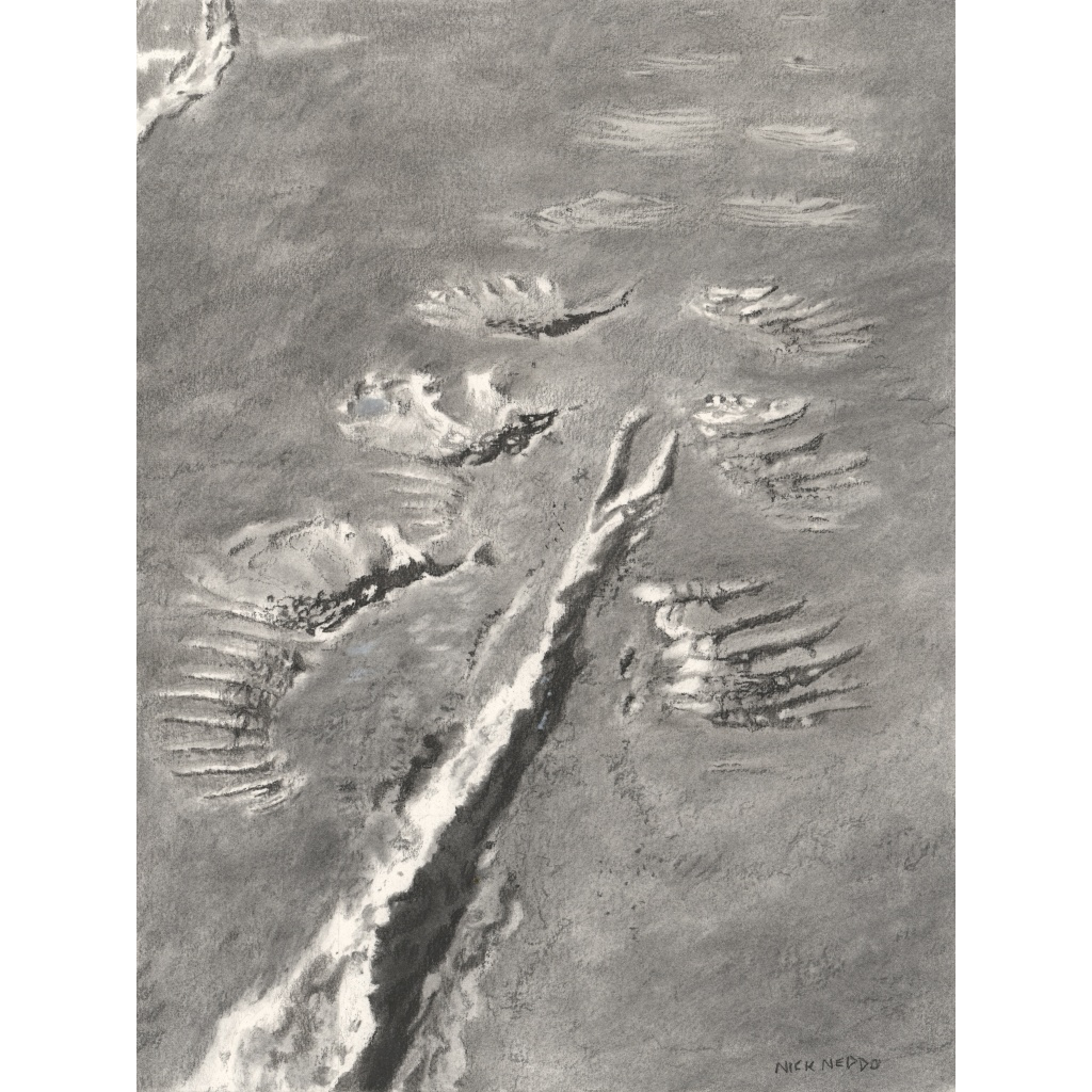 Wild Turkey Landing Strip, Nick Neddo Wild Arts Workshop, Gallery
