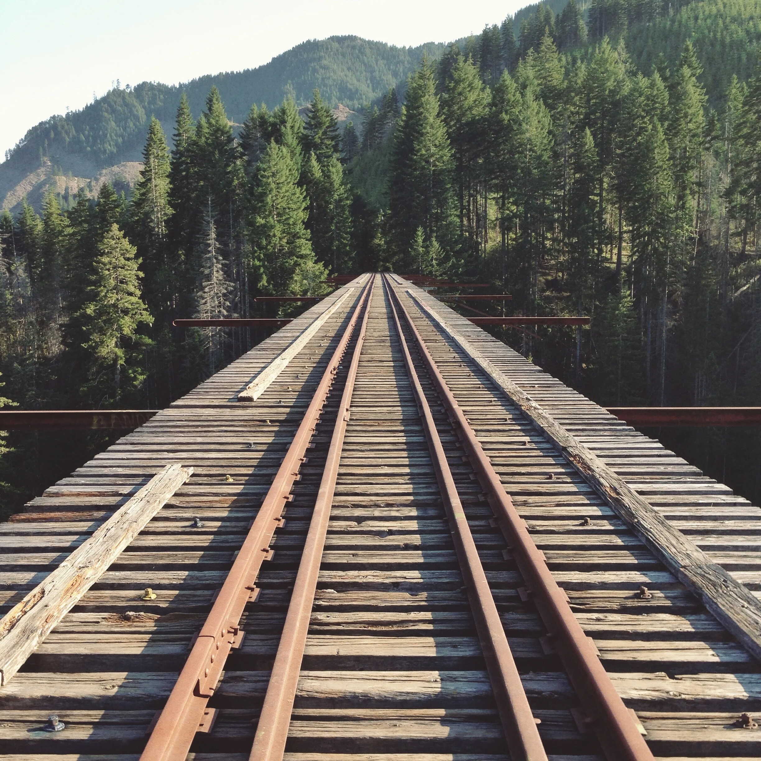 <strong>Vance Creek Bridge</strong></a>Washington, USA // 2013