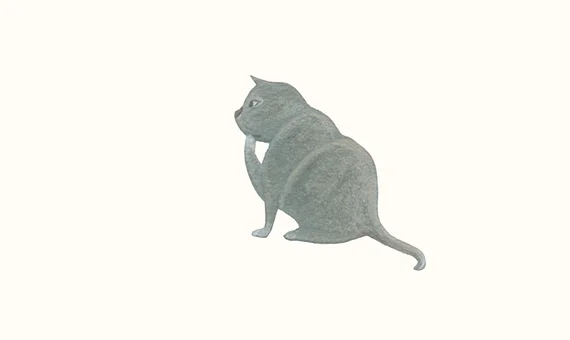 cat-thumb.jpg