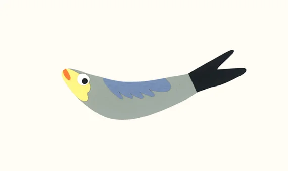 fish.jpg
