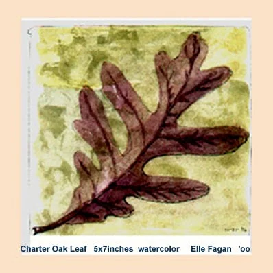 charteroakleaf.jpg
