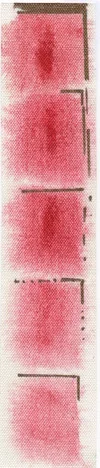 bookmarks.jpeg