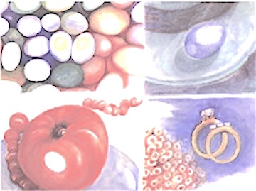 roundthings - graphic from four small watercolors 8x12 2001 - elle