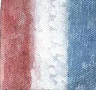 redwhitebluemini.jpg