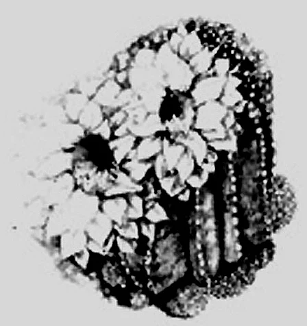 cactus.jpg