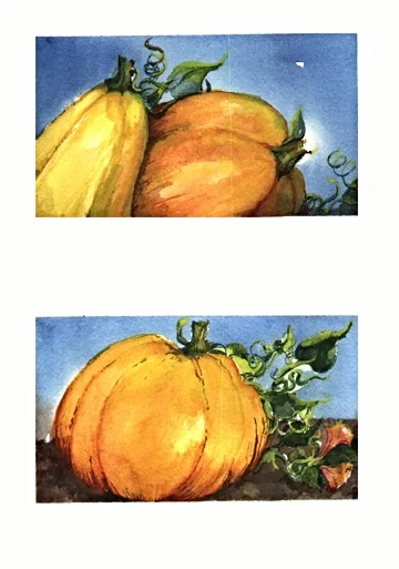 thanksgivingsquashPair05.jpg