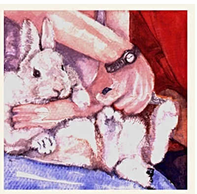 vbunny4-H+.jpg