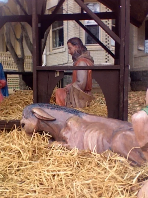 Joseph patient and Donkey munching straw