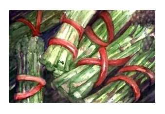 PARTNERS, ASSOCIATES, GROUPS, ORGANIZATIONS - People, like asparagus, DO BEST IN BUNCHES!
