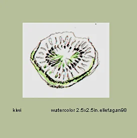 Kiwi sketch - $40