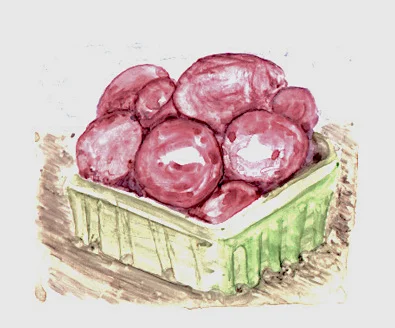 potatoesred03 copy.jpg
