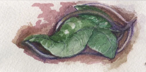 Elvish Leaf miniature