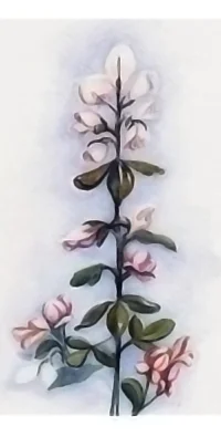 People Are Not for Hitting -Feb 24