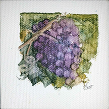 Connecticut’s state seal features the grape vines - a symbol of enduring sustinence. One of my minis here for it.